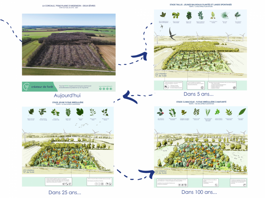 Visuel plaine dargenson evolution VF